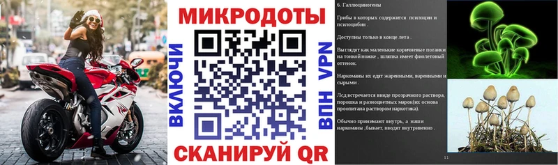 Галлюциногенные грибы Psilocybe  Купить  Калачинск 